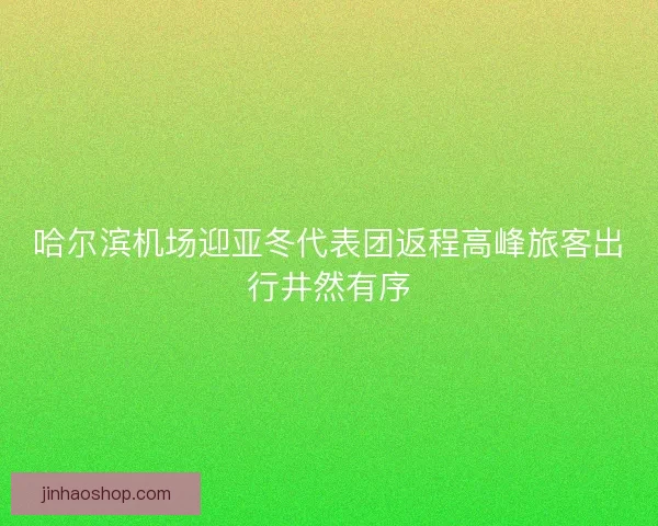 哈尔滨机场迎亚冬代表团返程高峰旅客出行井然有序